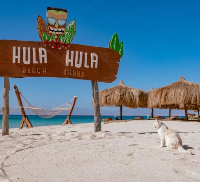 Hula Hula Island – Karibische Entspannung & Riff-Schnorcheln