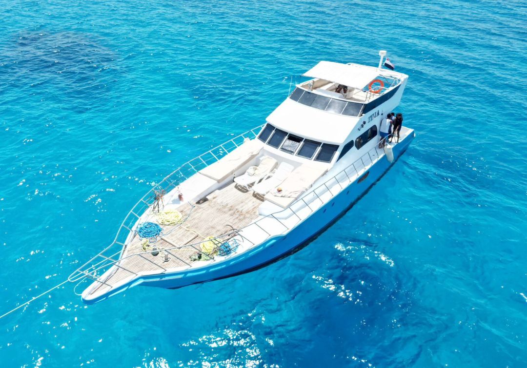 Privates Boot (3 Stunden) – Exklusiver Trip, Insel- & Riffstopps - Bild 3
